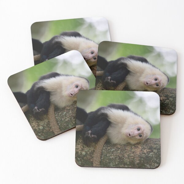 Item preview, Stop Monkeying Around designed and sold by mlorenz.