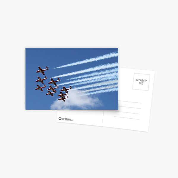 Snowbirds Postcard
