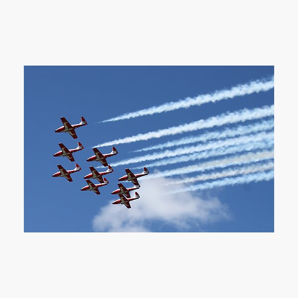 Snowbirds Photographic Print