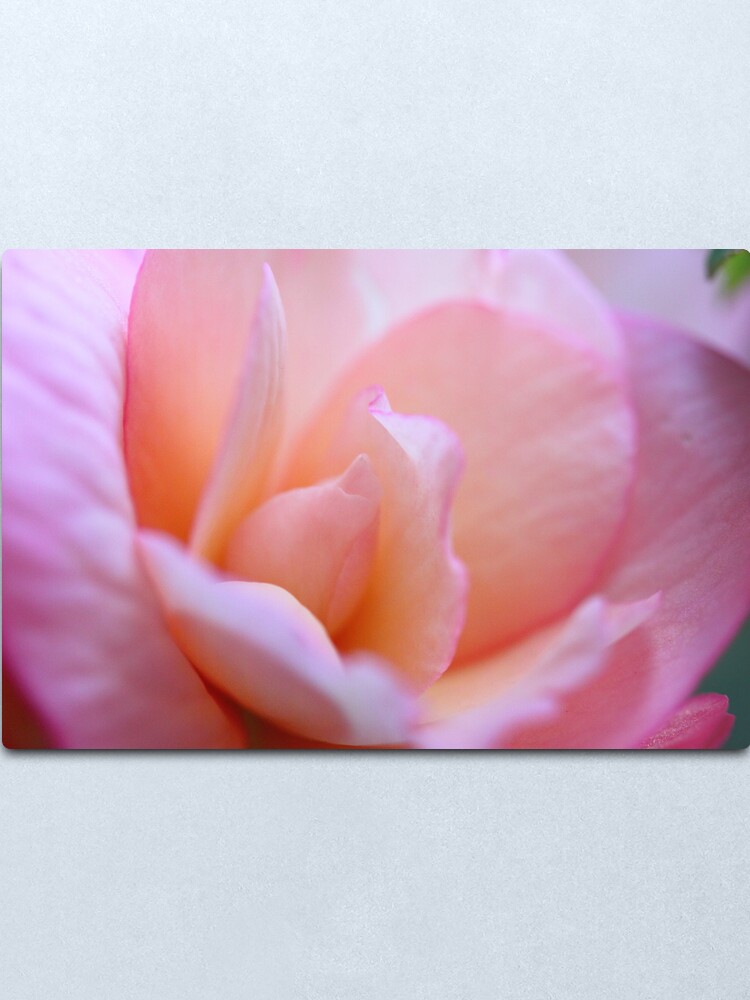 Alternate view of Pretty Pink Petals Metal Print