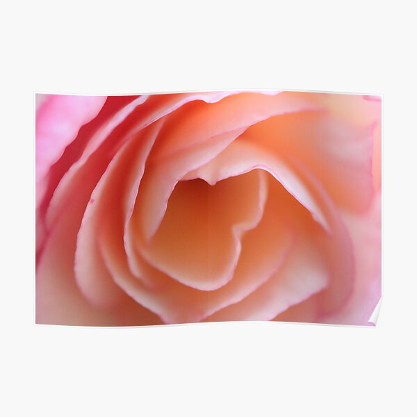 Closeup Beauty Poster