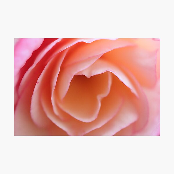 Closeup Beauty Photographic Print