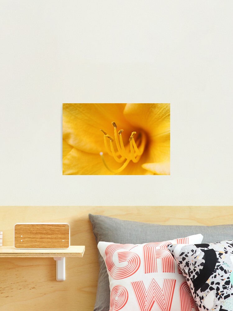 Thumbnail 2 of 3, Photographic Print, Yellow Lily Stamen designed and sold by spaterson.