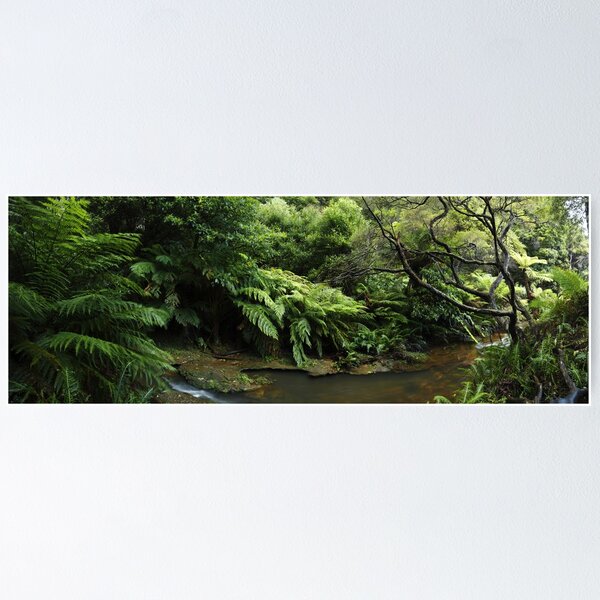 Item preview, Leura Falls Creek, New South Wales. designed and sold by Andy Newman.