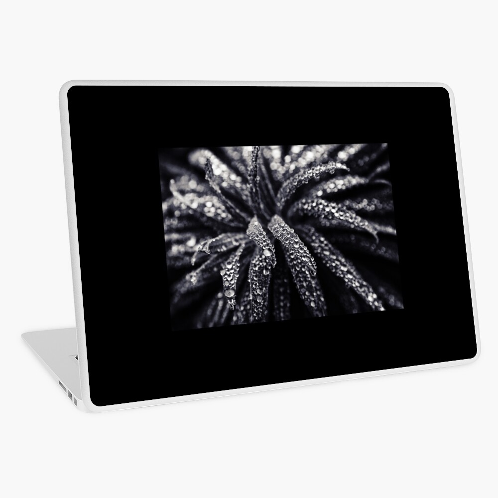 November Rain Laptop Skin