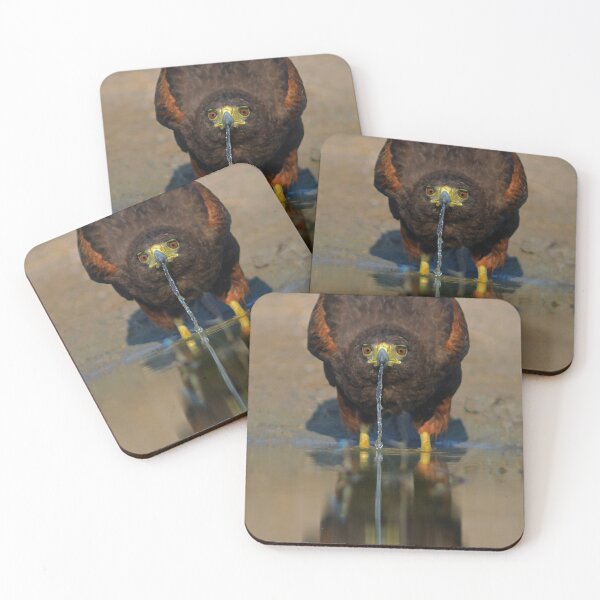 Item preview, Harris Hawk Drinking designed and sold by ForLoveofArt.