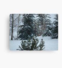 White Christmas Canvas Print