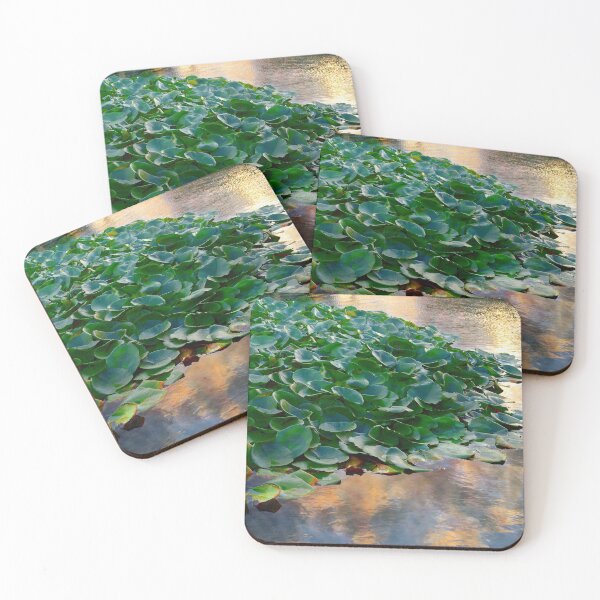 Item preview, On Golden Pond - Water Lilies designed and sold by Glenn McCarthy.