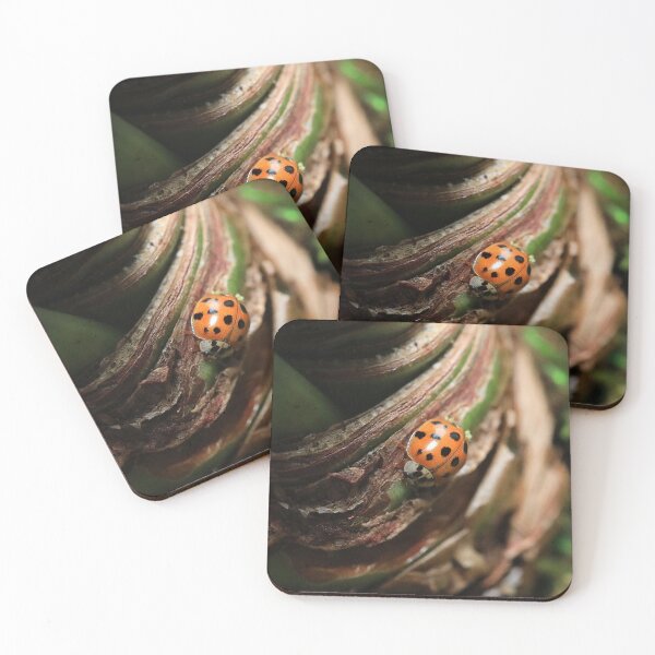 Item preview, Amaryllis Buggy designed and sold by Brenda Burnett.