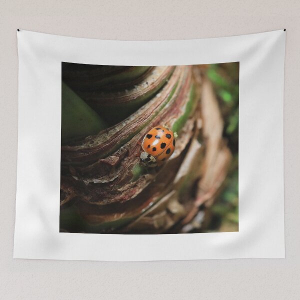 Item preview, Amaryllis Buggy designed and sold by Brenda Burnett.