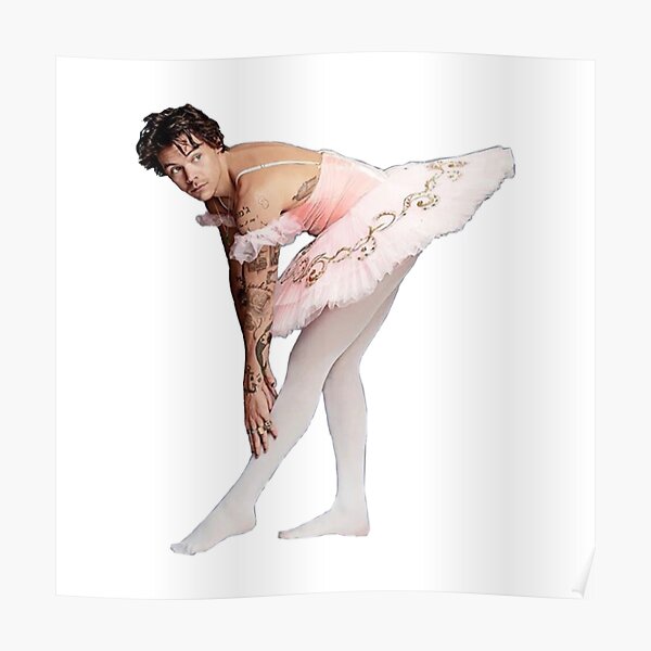 harry the ballerina  Poster