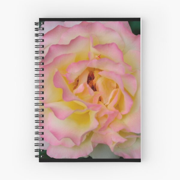 Item preview, One of my Roses designed and sold by BarbaraWilliams.