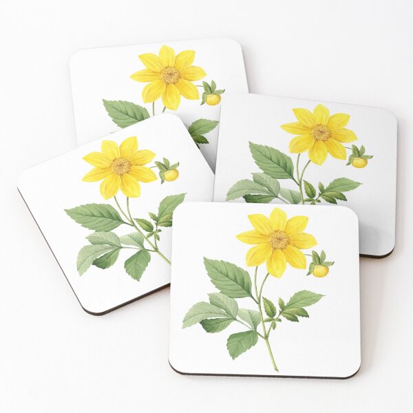 Item preview, Yellow Dahlia Flower Floral Vector designed and sold by digitalvintage.