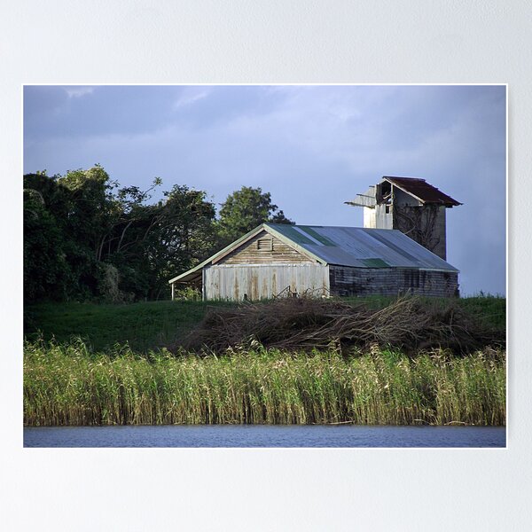 Item preview, Macleay River View designed and sold by janewiebenga.