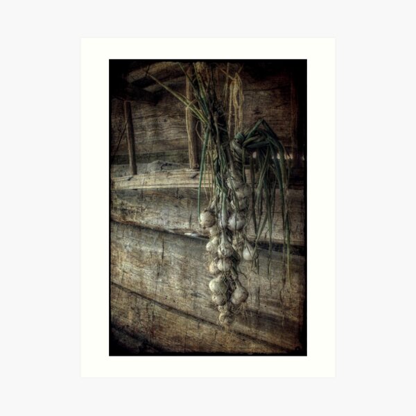 The Harvest Art Print