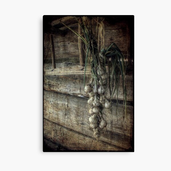 The Harvest Canvas Print