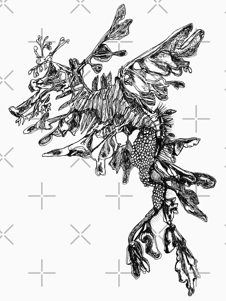 Steve the Leafy Sea Dragon by Wildcard-Sue