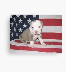 I Am Made In America Canvas Print