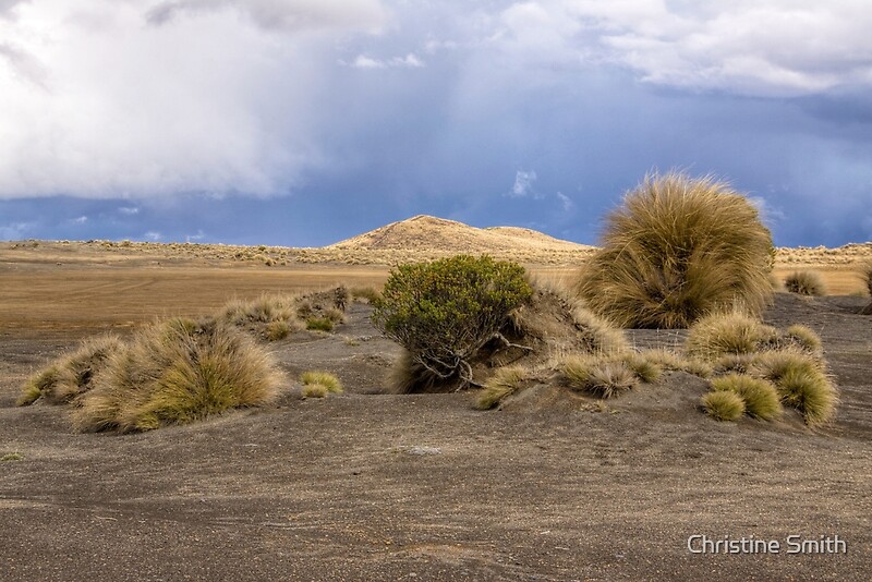 in-the-rangipo-desert-new-zealand-by-christine-smith-redbubble