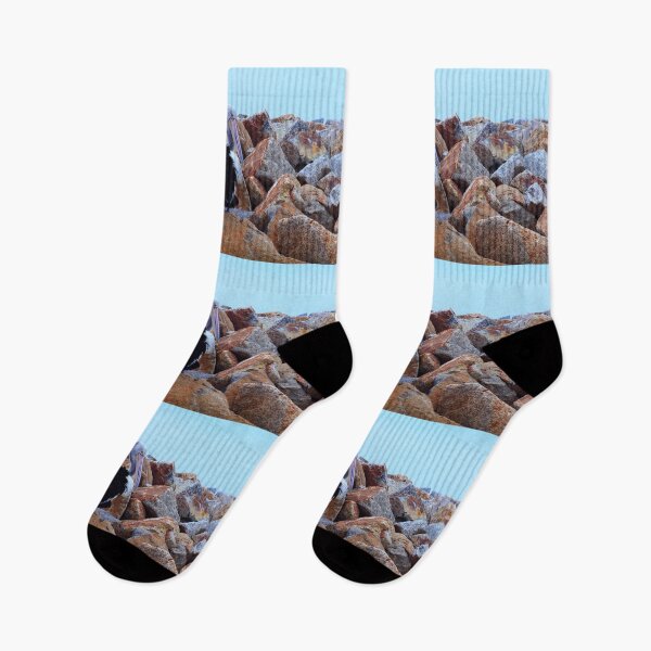 Item preview, Pelican on the Rocks designed and sold by Daniela Pintimalli.