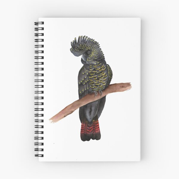 Item preview, Australian Black Cockatoo designed and sold by amyccreative.