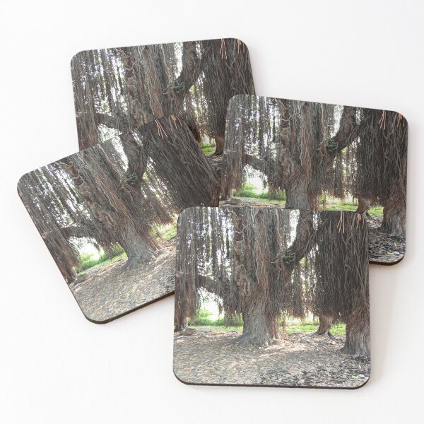 Item preview, Brown colored old  Banyan tree and roots background designed and sold by hutofdesigns.