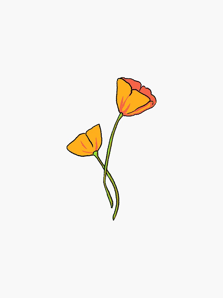 "California Poppies" Sticker by theskyisbrown | Redbubble