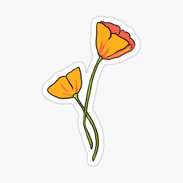 Poppy Flowers Sticker for Sale by Jamie Maher  Preppy stickers, Nature  stickers, Aesthetic stickers