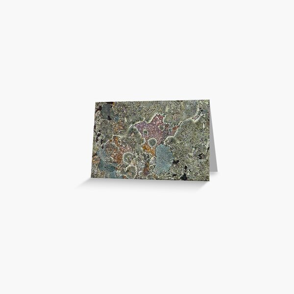 Lichen Greeting Card