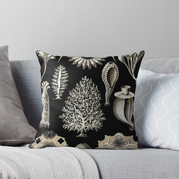 Item preview, Sea life by famous German illustrator Ernst Haeckel designed and sold by tambet.