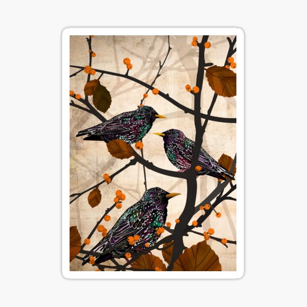 Starlings Sticker