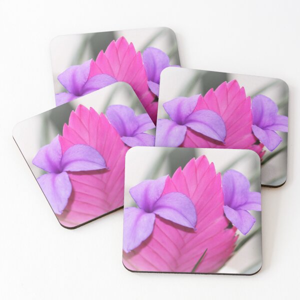 Item preview, Tillandsia cyanea - Pink Quill Bromliad designed and sold by AnnDixon.