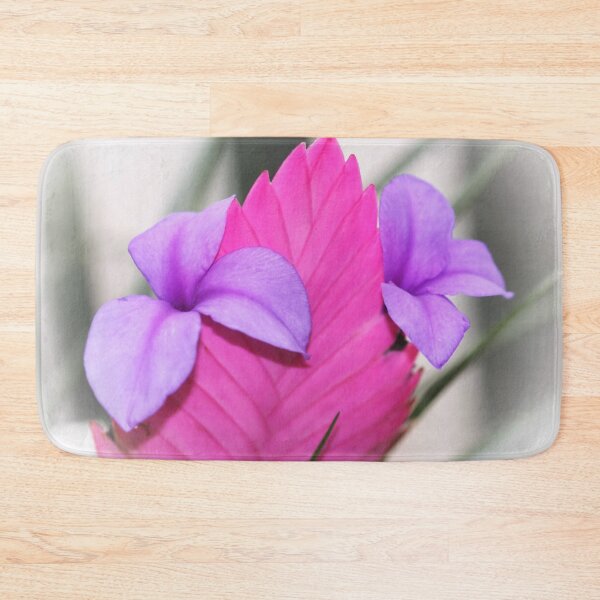 Item preview, Tillandsia cyanea - Pink Quill Bromliad designed and sold by AnnDixon.