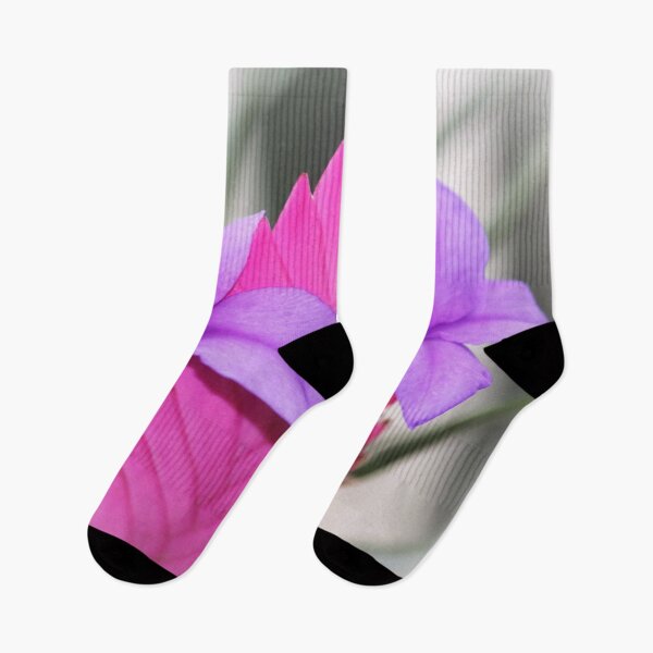 Item preview, Tillandsia cyanea - Pink Quill Bromliad designed and sold by AnnDixon.