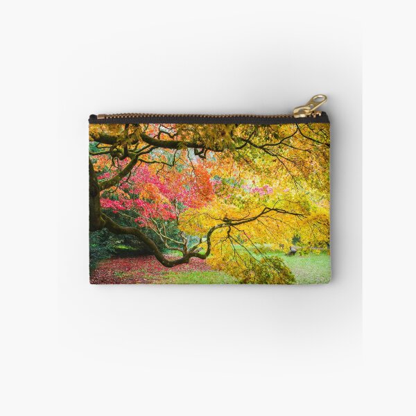 Item preview, Japanese Maples (Acer Palmatum) in Autumn Colours designed and sold by Graham Prentice.