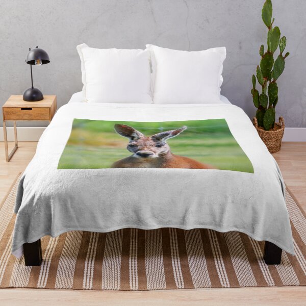 Item preview, Red Kangaroo designed and sold by AnnDixon.