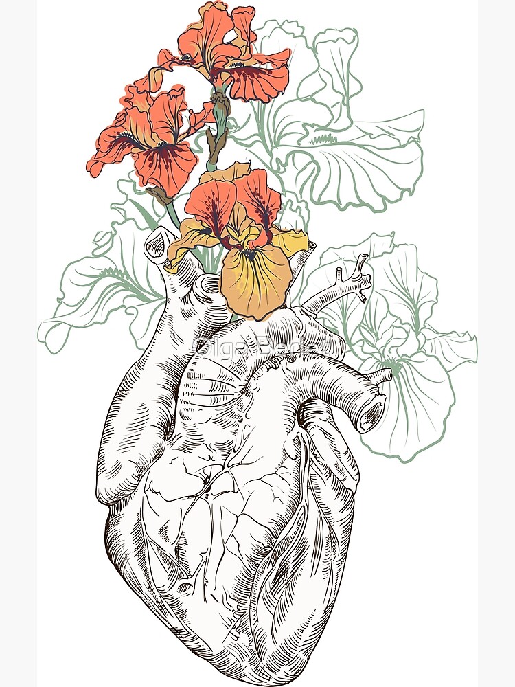 drawing Human heart with flowers by OlgaBerlet