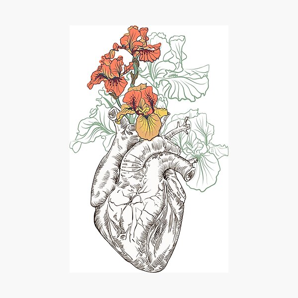 drawing Human heart with flowers Photographic Print