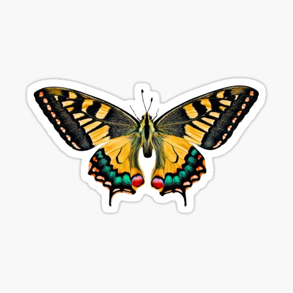 Item preview, Butterfly  designed and sold by Stefanescu Alexandru.