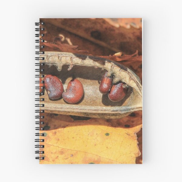 Item preview, Seed Pod and Fall Colors designed and sold by Gary Horner.