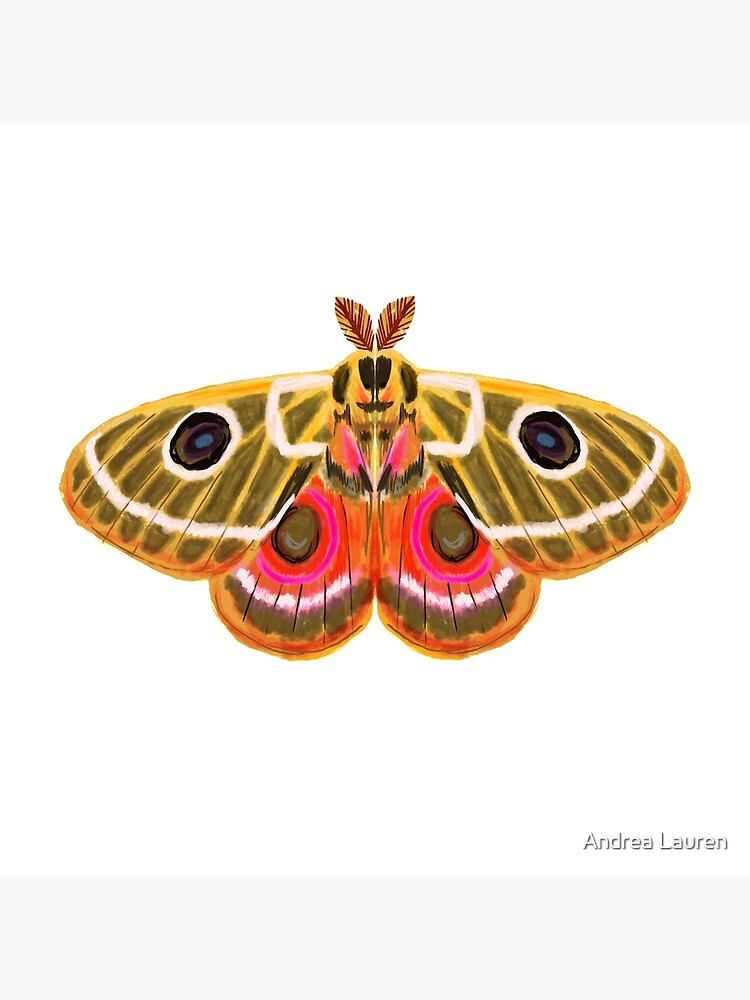 Butterfly Atlas