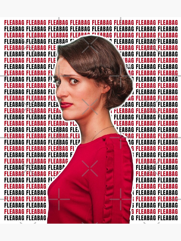 Fleabag Tv Show Poster