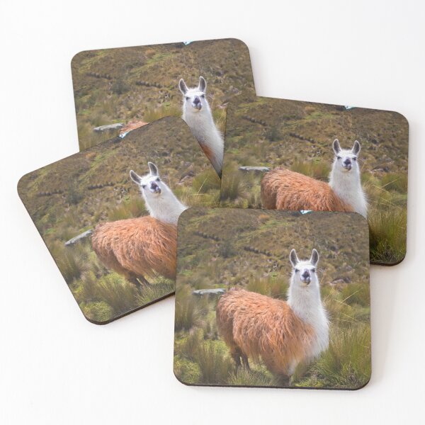 Item preview, Pretty Llama In The Cajas Range Of The Andes designed and sold by alabca.
