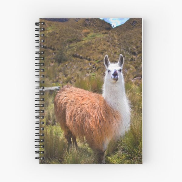 Item preview, Pretty Llama In The Cajas Range Of The Andes designed and sold by alabca.