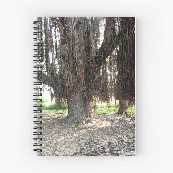 Item preview, Brown colored old  Banyan tree and roots background designed and sold by hutofdesigns.
