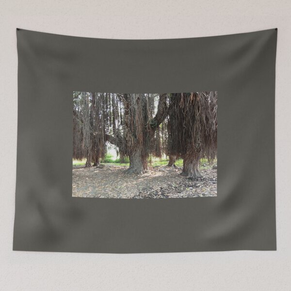 Item preview, Brown colored old  Banyan tree and roots background designed and sold by hutofdesigns.