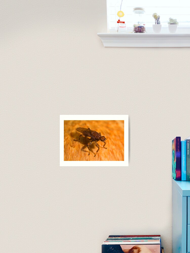 Thumbnail 1 of 3, Art Print, Robber fly designed and sold by Richard  Windeyer.