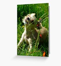 Catching Wildflowers Greeting Card