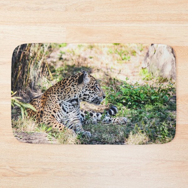 Item preview, Jaguar at Rest designed and sold by Bob Hardy.