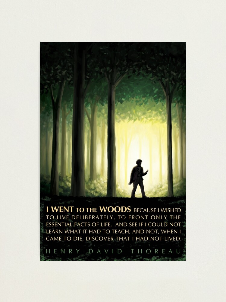 Henry David Thoreau Quote I Went To The Woods Photographic Print By Elvindantes Redbubble